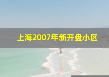 上海2007年新开盘小区