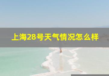 上海28号天气情况怎么样