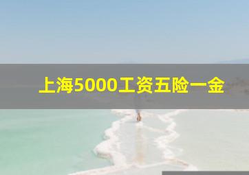 上海5000工资五险一金