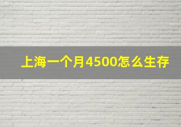 上海一个月4500怎么生存