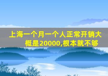 上海一个月一个人正常开销大概是20000,根本就不够