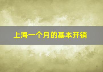 上海一个月的基本开销