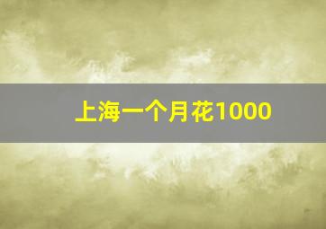 上海一个月花1000