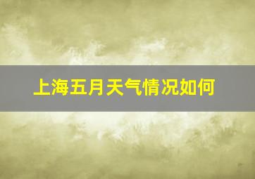 上海五月天气情况如何