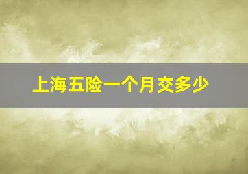 上海五险一个月交多少