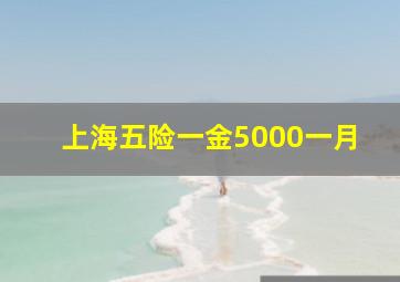 上海五险一金5000一月