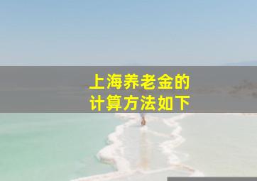 上海养老金的计算方法如下