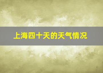 上海四十天的天气情况