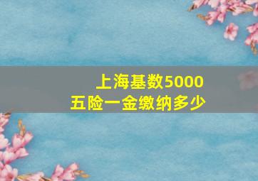 上海基数5000五险一金缴纳多少