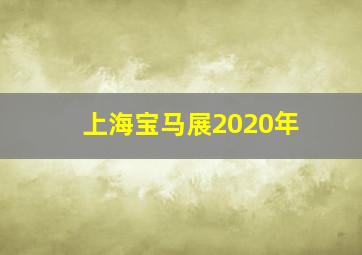 上海宝马展2020年