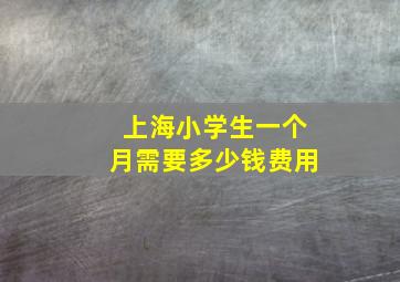 上海小学生一个月需要多少钱费用