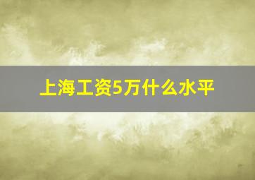 上海工资5万什么水平