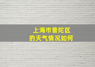 上海市普陀区的天气情况如何