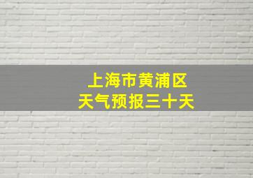 上海市黄浦区天气预报三十天