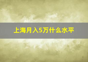 上海月入5万什么水平