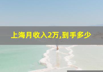 上海月收入2万,到手多少