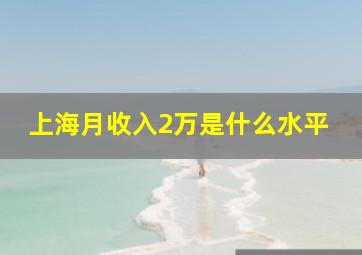 上海月收入2万是什么水平