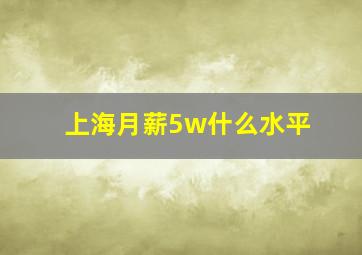 上海月薪5w什么水平