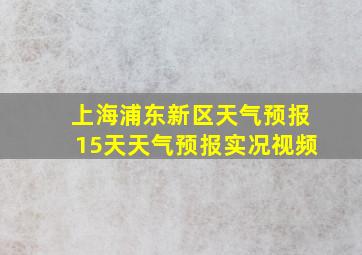 上海浦东新区天气预报15天天气预报实况视频