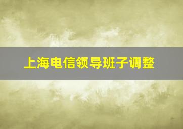 上海电信领导班子调整