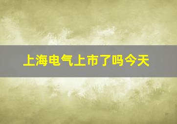 上海电气上市了吗今天