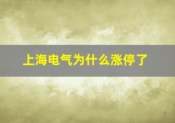 上海电气为什么涨停了