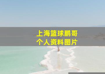 上海篮球鹏哥个人资料图片