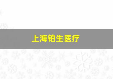 上海铂生医疗