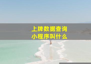 上牌数据查询小程序叫什么