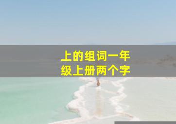 上的组词一年级上册两个字