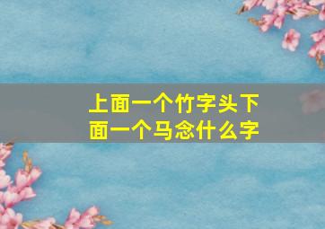 上面一个竹字头下面一个马念什么字