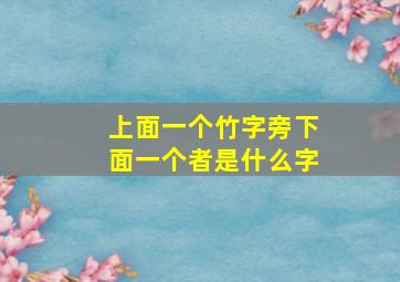 上面一个竹字旁下面一个者是什么字