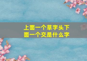 上面一个草字头下面一个交是什么字