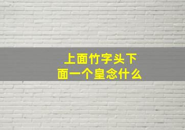 上面竹字头下面一个皇念什么