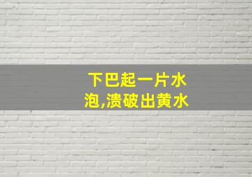 下巴起一片水泡,溃破出黄水