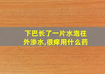 下巴长了一片水泡往外渗水,很痒用什么药