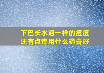 下巴长水泡一样的痘痘还有点痒用什么药膏好