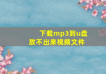 下载mp3到u盘放不出来视频文件