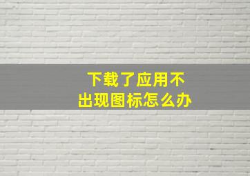 下载了应用不出现图标怎么办