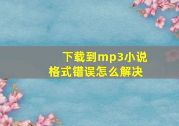 下载到mp3小说格式错误怎么解决