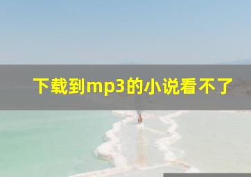 下载到mp3的小说看不了