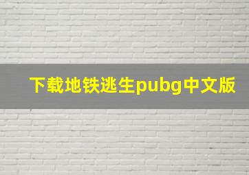 下载地铁逃生pubg中文版