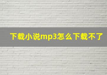 下载小说mp3怎么下载不了