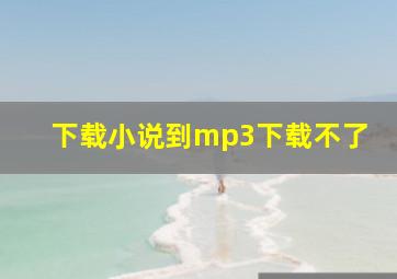 下载小说到mp3下载不了