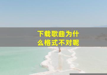 下载歌曲为什么格式不对呢