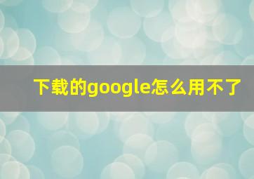 下载的google怎么用不了