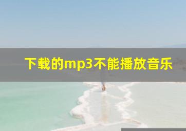 下载的mp3不能播放音乐