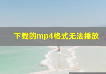 下载的mp4格式无法播放