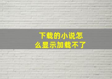 下载的小说怎么显示加载不了