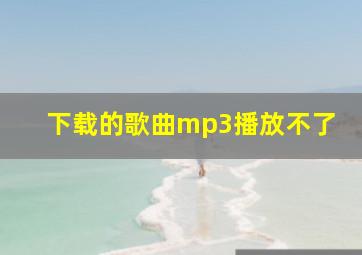 下载的歌曲mp3播放不了